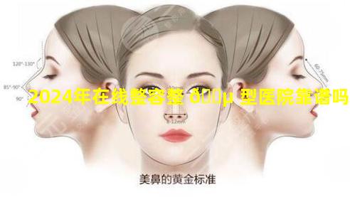 2024年在线整容整 🌵 型医院靠谱吗